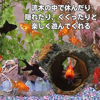 Amazon.co.jp: EINEY アクアリウム オブジェ 流木 水槽用 流木
